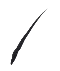 Maybelline New York Lasting Drama Liquid Ink Matte Waterproof Eyeliner Black 7 Maybelline New York Lasting Drama Liquid Ink Matte Waterproof Eyeliner Black -ALL STARS SHOP MAM 10437113 SHOP IMAGE 1.4