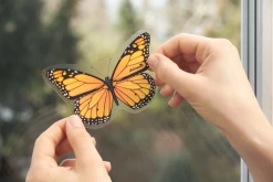 Aeroxon Fliegenköder Insekten-Falter -ALL STARS SHOP MAM 3809681 SHOP IMAGE 1.10