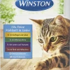 Winston Feine Mahlzeit In Gelee Multipack -ALL STARS SHOP MAM 6363465 SHOP IMAGE 1.4