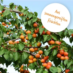 EnerBiO Soft Aprikosen -ALL STARS SHOP MAM 9604915 SHOP IMAGE 1.4