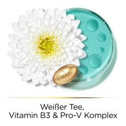 Hair Biology Haarmaske Revitalize & Strengthen -ALL STARS SHOP MAM 9796696 SHOP IMAGE 1.4